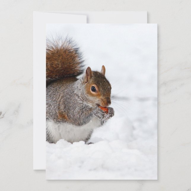 La ardilla en invierno (Anverso)