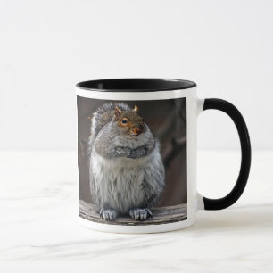 La ardilla gorda "consiguió nueces?" Taza