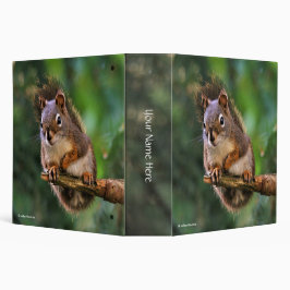 La ardilla roja de la Saucy suave en el aire