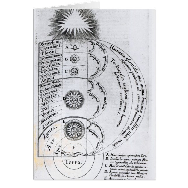 La armonía esencial (Frente)