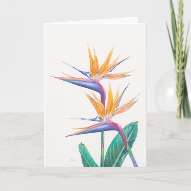 La ave del paraíso tropical florece la tarjeta de (Anverso)