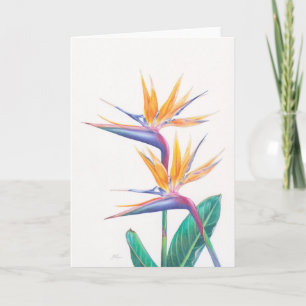 La ave del paraíso tropical florece la tarjeta de