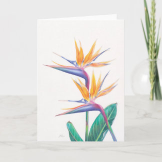 La ave del paraíso tropical florece la tarjeta de