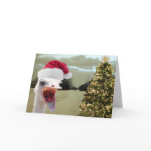 La avestruz consigue emocionada sobre navidad