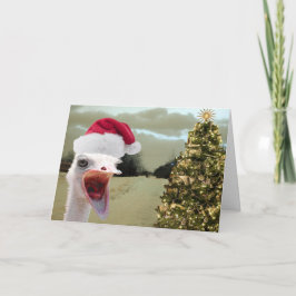 La avestruz consigue emocionada sobre navidad