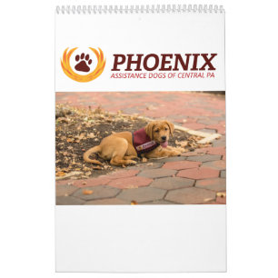 La ayuda de Phoenix persigue el calendario