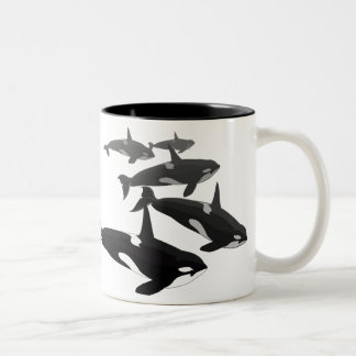 La ballena de la orca asalta y ahueca las tazas de