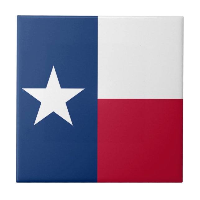 La bandera solitaria de Tejas de la bandera de la (Frente)