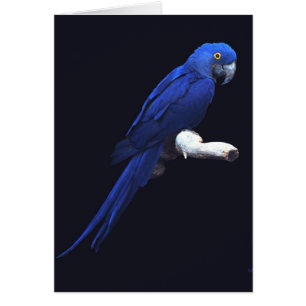 La belleza azul