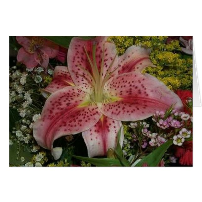 La belleza de la naturaleza (Anverso (Horizontal))