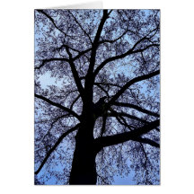 La belleza de la naturaleza