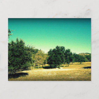 La Belleza De La Postales De Bandera Texas #2