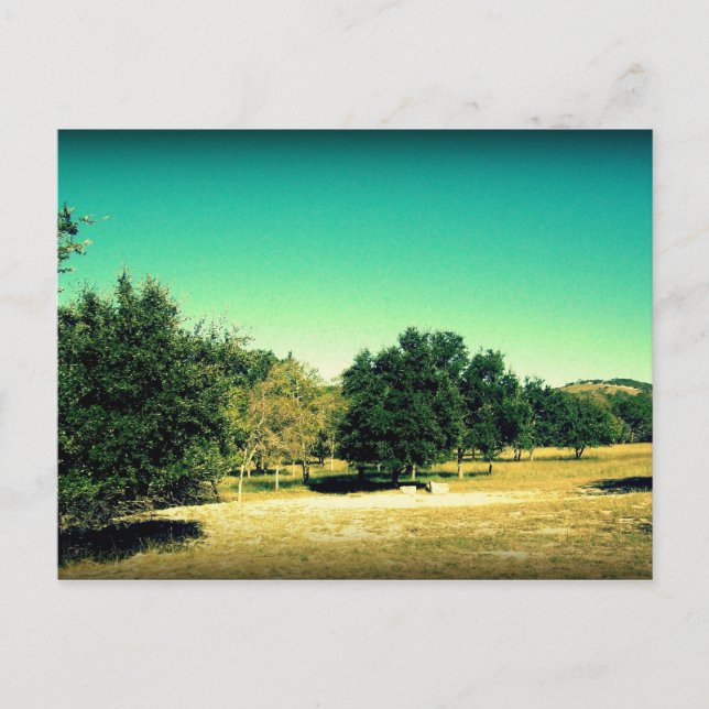 La Belleza De La Postales De Bandera Texas #2 (Anverso)