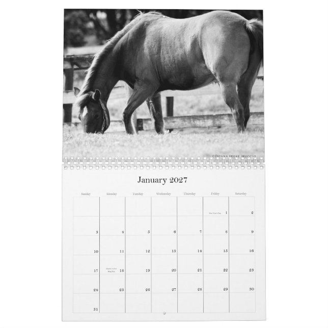 La belleza del calendario de los caballos (Jan 2027)