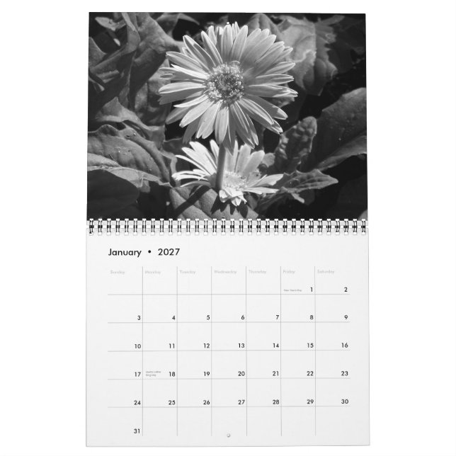 La belleza del calendario negro y blanco (Jan 2027)