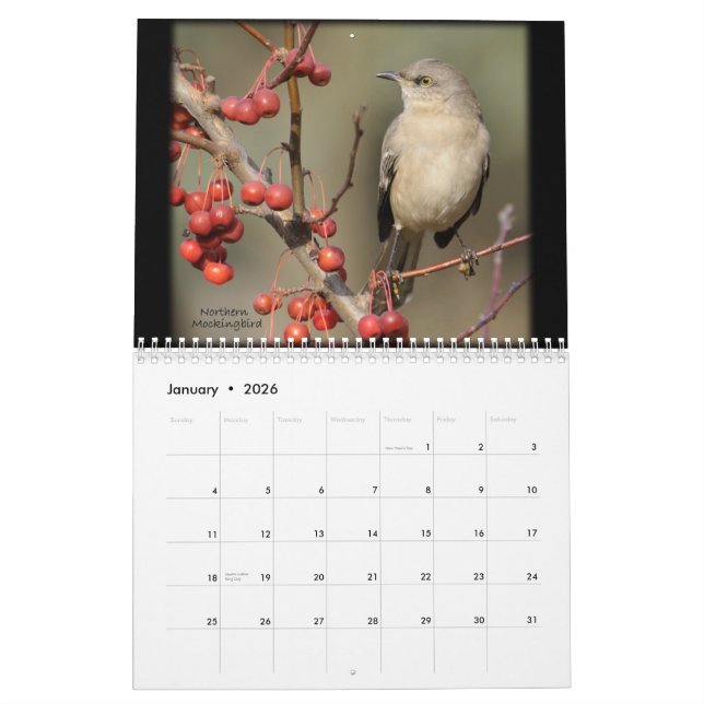 La belleza del calendario salvaje de los pájaros (Jan 2026)