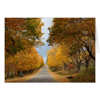 "La belleza del otoño"