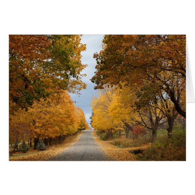 "La belleza del otoño" (Anverso (Horizontal))