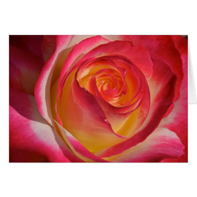 La belleza desde adentro (Anverso (Horizontal))