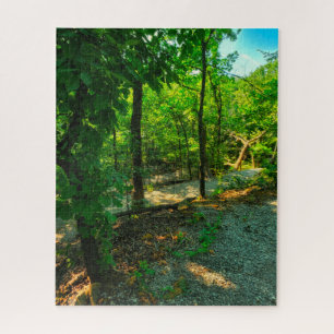 La belleza en el rompecabezas de los bosques