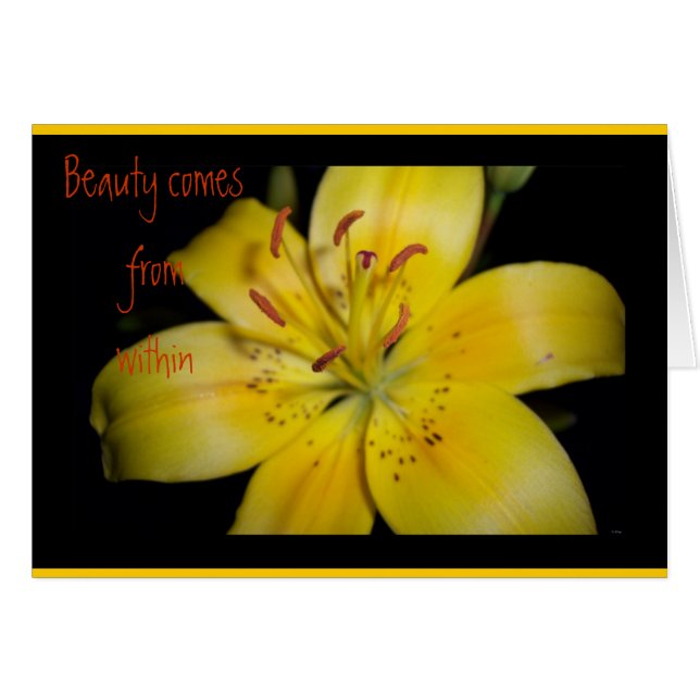 La belleza interior (Anverso (Horizontal))