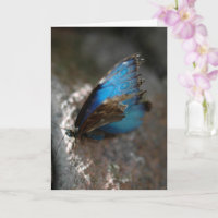 "La belleza interior" | Mariposa azul en tarjeta e