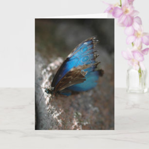 "La belleza interior"   Mariposa azul en tarjeta e