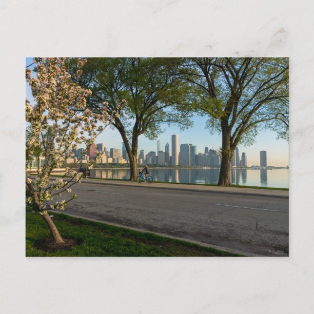 La Bicicleta Abajo la postal solidaria (Anverso)