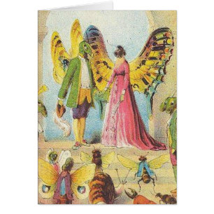 La bola de la mariposa
