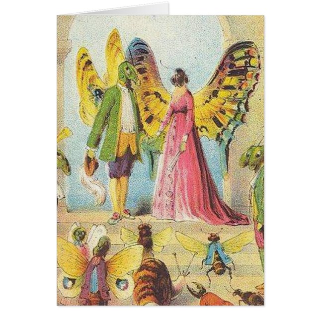 La bola de la mariposa (Frente)