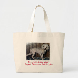 La bolsa de asas