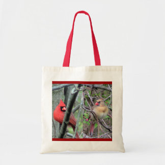 La bolsa de asas cardinal de los pares