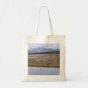 La bolsa de asas con la foto del bisonte, de