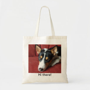 La bolsa de asas de Basenji