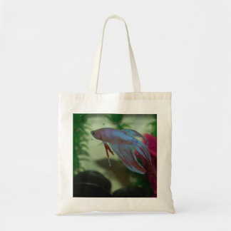 La bolsa de asas de Betta Splendens