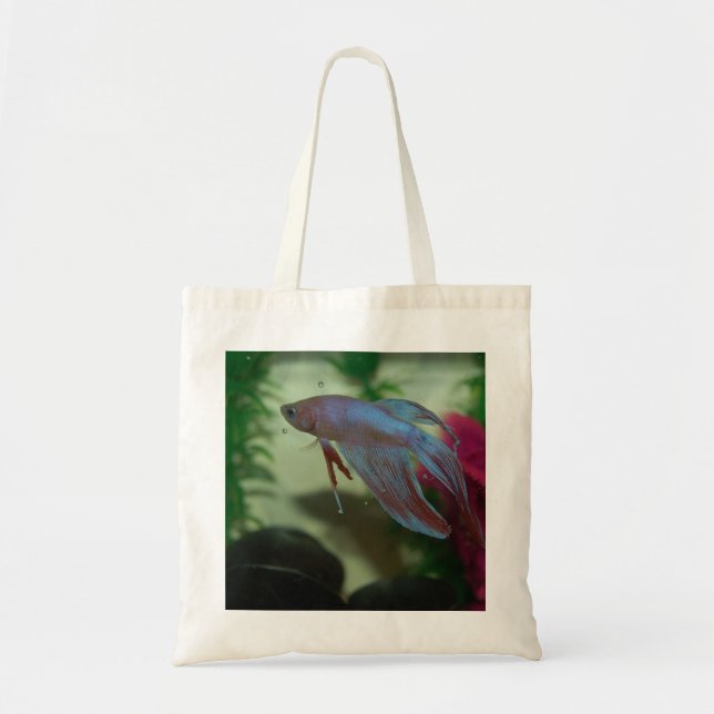 La bolsa de asas de Betta Splendens (Frente)