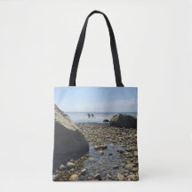 La bolsa de asas de Cape Cod - playa de Woodneck