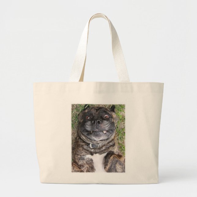 La bolsa de asas de Corso del bastón (Frente)