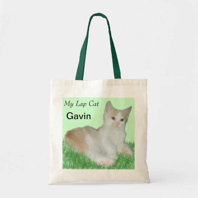La bolsa de asas de Gavin_Cat (Frente)