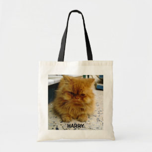 LA BOLSA DE ASAS DE HARRY