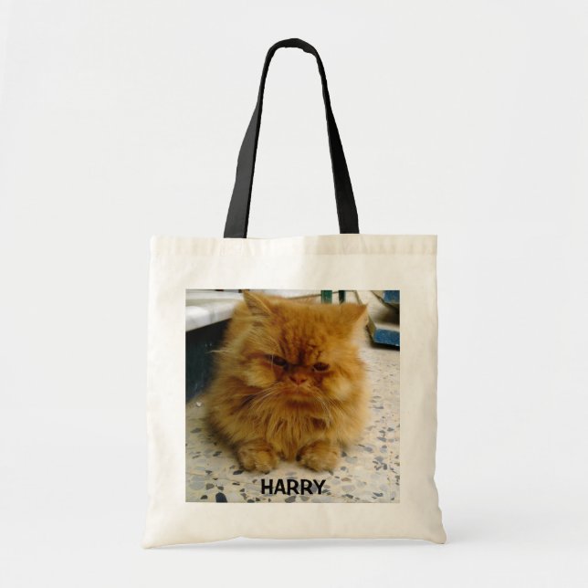LA BOLSA DE ASAS DE HARRY (Frente)