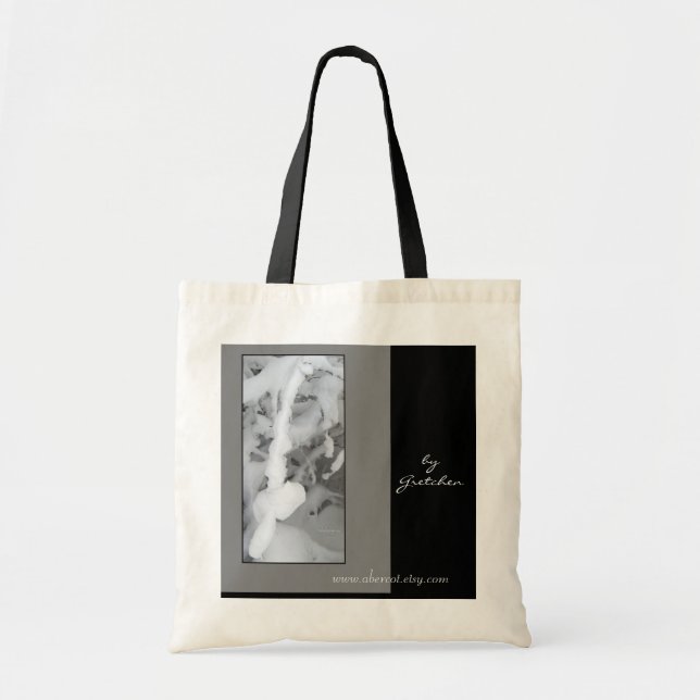 La bolsa de asas de la arquitectura del invierno (Frente)
