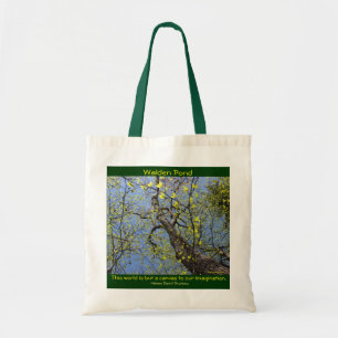 La bolsa de asas de la charca de Walden