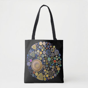 La bolsa de asas de la diatomea