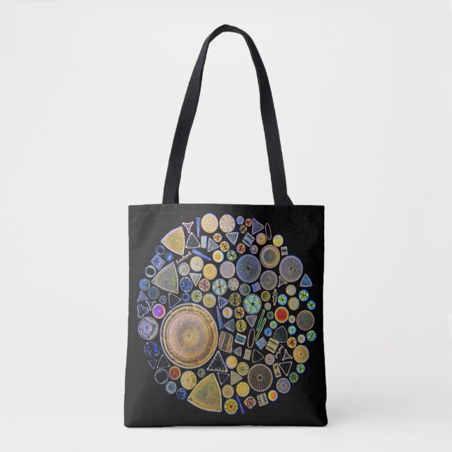 La bolsa de asas de la diatomea (Anverso)