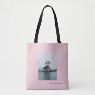 La bolsa de asas de la isla de Forbes