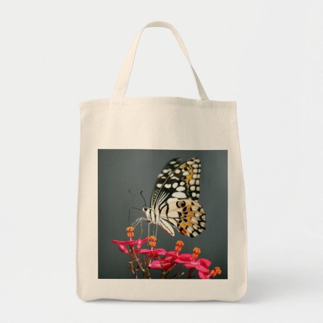 La bolsa de asas de la mariposa (Frente)