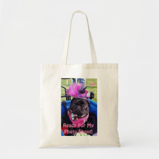La bolsa de asas de la sesión fotográfica de Puggy