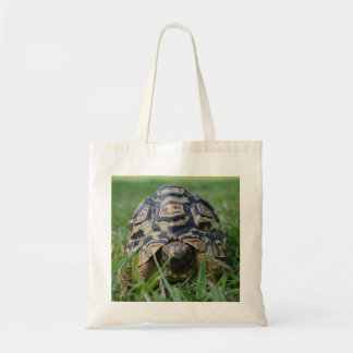 La bolsa de asas de la tortuga
