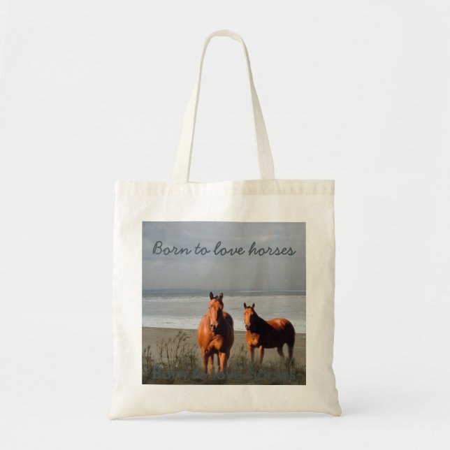 La bolsa de asas de los caballos de la playa (Frente)